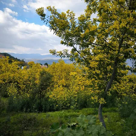Апартаменты Boulouris, Doux Repos Champetre